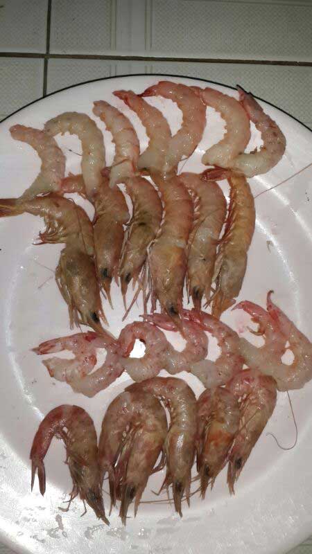 Quí Điền Seafood - Tôm giang