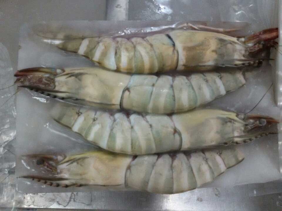 Quí Điền Seafood - Tôm sú biển